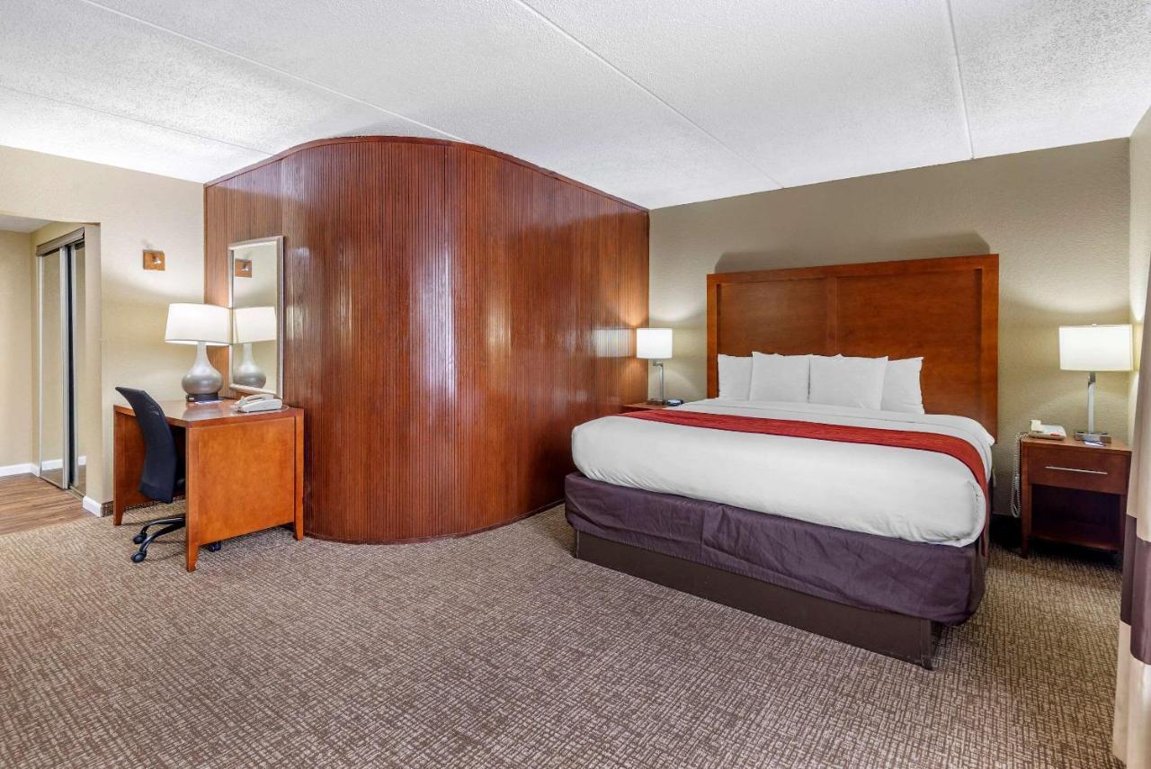 Comfort / Charlotte Hotel